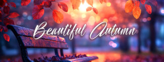 Beautiful Autumn Banner - Park Bench at Sunset