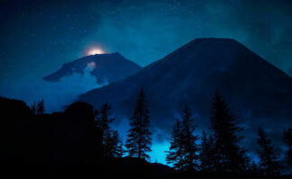 Mystery Woods at Night 01 - stock photos and royalty-free images