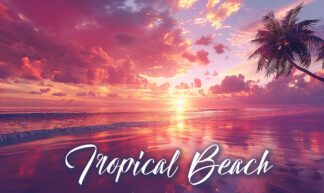 Tropical Beach - Amazing Sunset Photo
